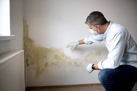 Mold Remediation for Vacation Homes in Rossford, OH